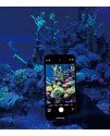 TRUEREEF FILTER LENS SUNSET BOULEVARD MAXSPECT